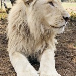 IMG_2841 - Copy